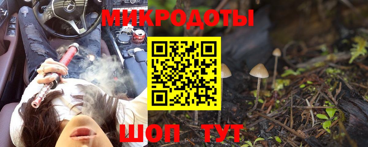 Тверь  Галлюциногенные грибы Psilocybine cubensis  Псилоцибиновые грибы Cubensis  Вход с VPN 
